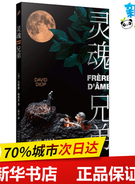 灵魂兄弟 (法)达维德·迪奥普(David Diop) 著 高方 译 现代/当代文学文学 新华书店正版图书籍 人民文学出版社