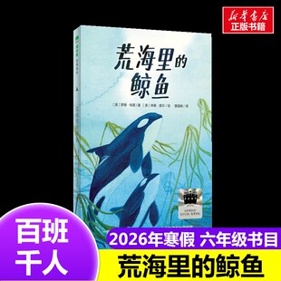 荒海里的鲸鱼 2026年百班千人寒假书目六年级推荐经典儿童文学故事书11-12岁推荐6年级课外书必读广西师范大学出版社