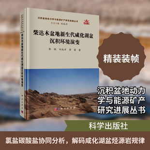 柴达木盆地新生代咸化湖盆沉积环境演变 郭佩,刘池洋,黄雷 著 著 地质学专业科技 新华书店正版图书籍 科学出版社