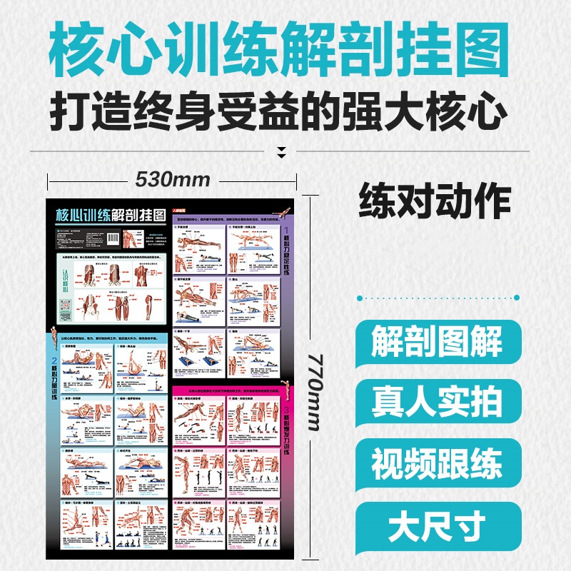 新华书店正版 体育理论