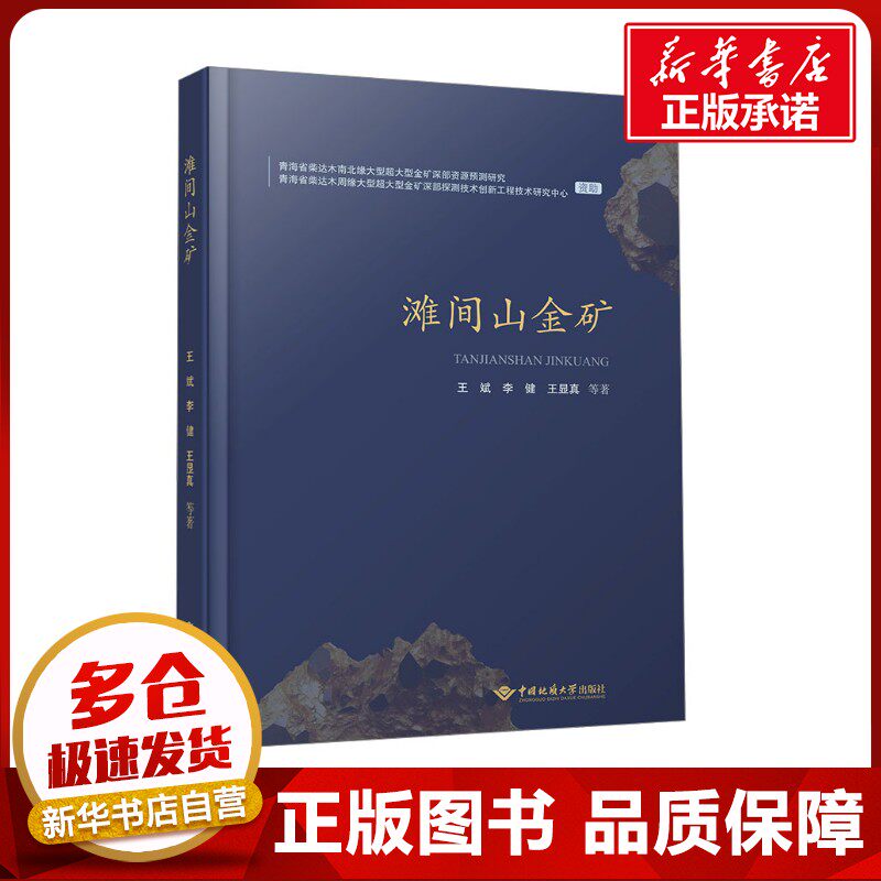 滩间山金矿 王斌,李健,王显真 著 地质学专业科技 新华书店正版图书籍 中国地质大学出版社