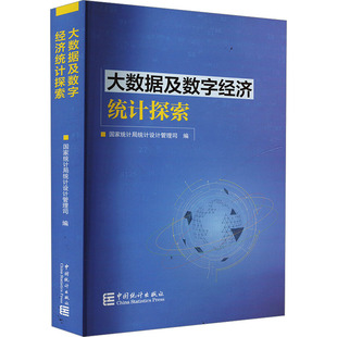 大数据及数字经济统计探索 国家统计局统计设计管理司 编 统计 审计经管、励志 新华书店正版图书籍 中国统计出版社