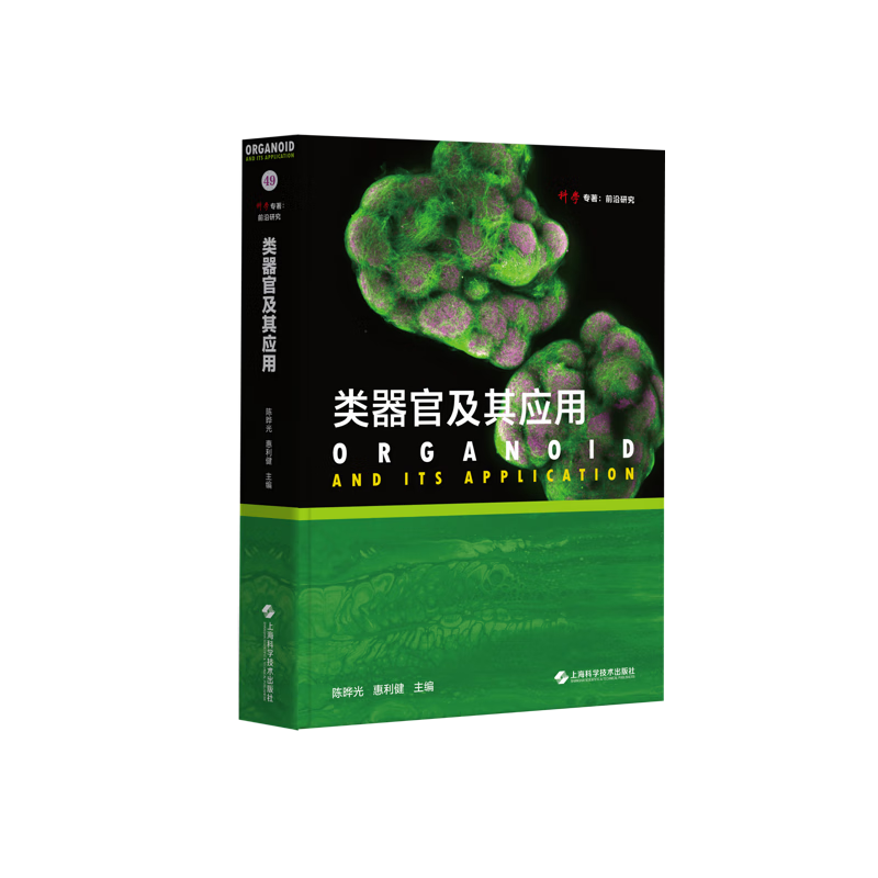 新华书店正版 内科