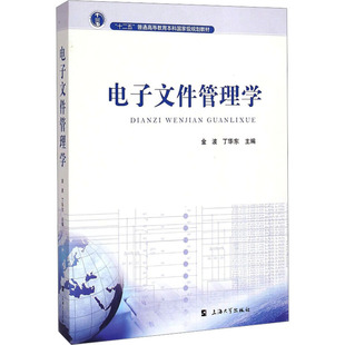 电子文件管理学(十二五普通高等教育本科重量规划教材) 金波,丁华东 编 大学教材大中专 新华书店正版图书籍 上海大学出版社