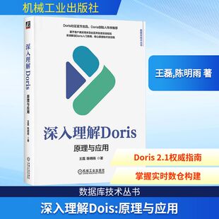 深入理解DORIS：原理与应用 王磊,陈明雨 著 著 信息系统（新）专业科技 新华书店正版图书籍 机械工业出版社