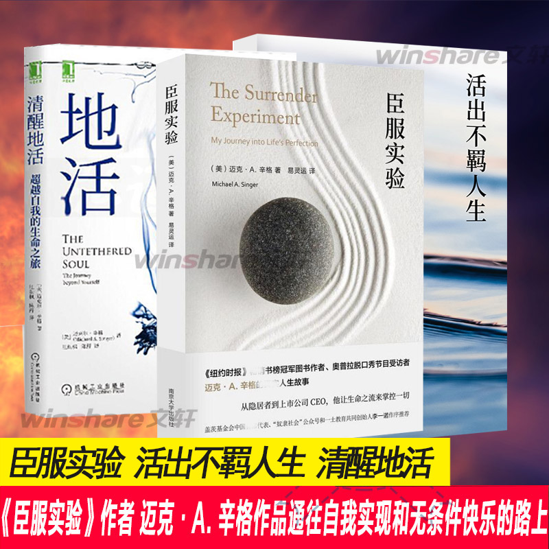 臣服实验+活出不羁人生+清醒地活 (美)迈克·A.辛格 著 易灵运 译等 心理学社科 新华书店正版图书籍 南京大学出版社等