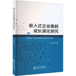 励志 社 高勇 经济科学出版 图书籍 新华书店正版 MBA经管 管理学理论 著 企业集群成长演化研究 嵌入式