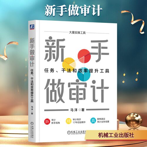 新华书店正版 审计