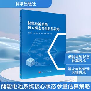 储能电池系统核心状态参量估算策略 王顺利 等 著 电工技术/家电维修专业科技 新华书店正版图书籍 科学出版社