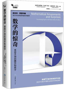 数学的惊奇 意想不到的图形和数字 赫伯特·豪普特曼 诺贝尔化学奖获得者作序推荐 美国数学教育家开创激发学习数学兴趣思维课程
