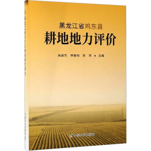 黑龙江省鸡东县耕地地力评价 高淑杰,申惠明,陈然 编 农业基础科学专业科技 新华书店正版图书籍 中国农业出版社有限公司