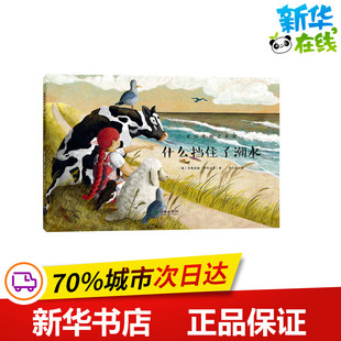 什么挡住了潮水/爱探索的艾米丽 [德]安德丽娅·莱特迈耶 著 李士勋 译 绘本/图画书/少儿动漫书少儿 新华书店正版图书籍