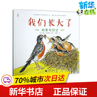 译 玩具书少儿 艾琳·克里斯特洛 立体翻翻书 益智游戏 著作 著虎;马阳阳 Christelow Eileen 美 我们长大了