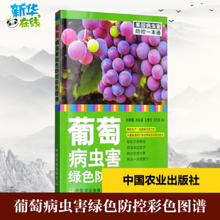 葡萄病虫害绿色防控彩色图谱 刘薇薇 等 编 农业基础科学专业科技 新华书店正版图书籍 中国农业出版社