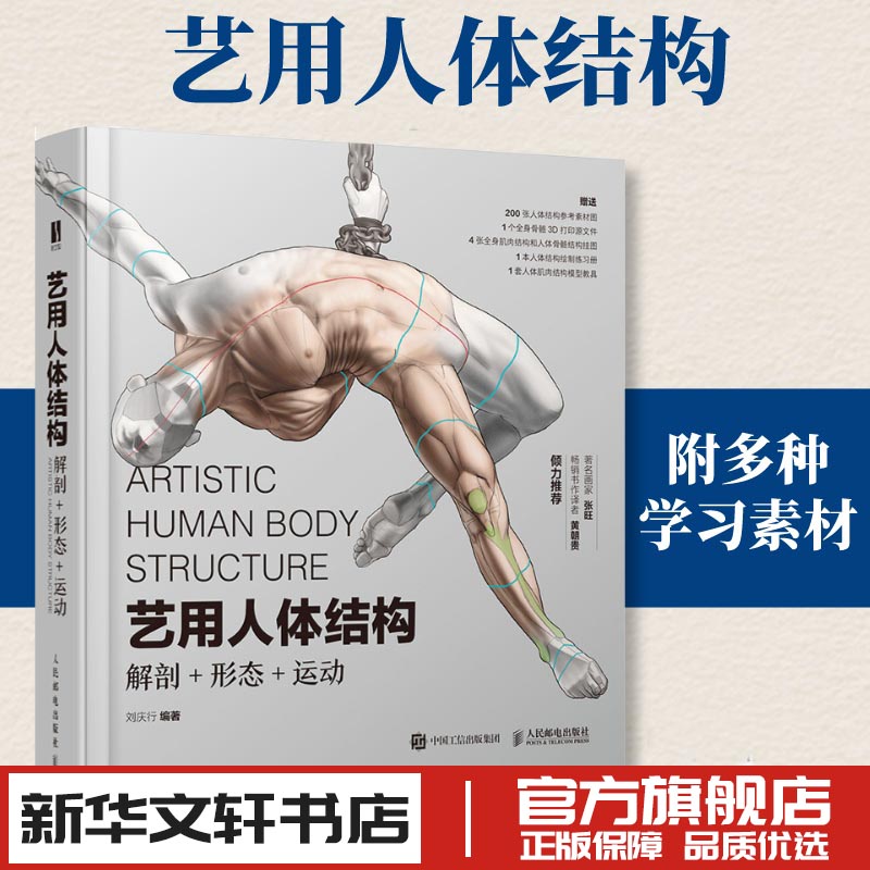 人体结构动态与动漫绘画进阶教程