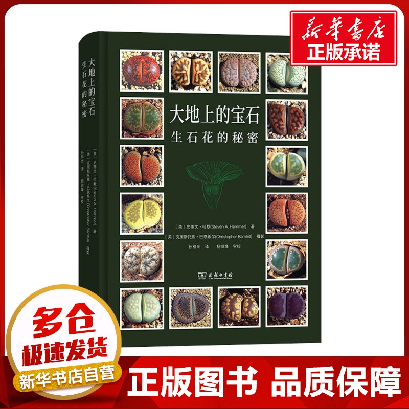 大地上的宝石 生石花的秘密 (美)史蒂文·哈默 著 孙祖光 译 动物生活 新华书店正版图书籍 商务印书馆