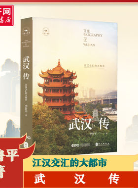 武汉传江汉交汇的大都市