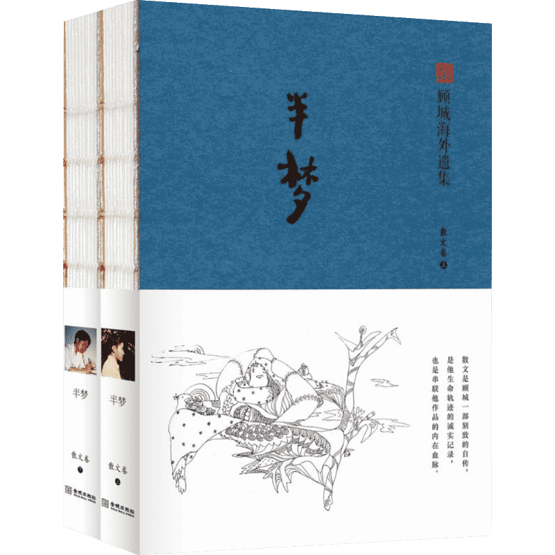 半梦散文卷 顾城 著；荣挺进 辑录；顾乡 校注 外国随笔/散文集文学 新华书店正版图书籍 金城出版社