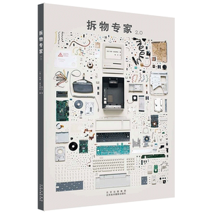 拆物专家2.0 (加)托德·麦克莱伦 著 钱卫 译 摄影艺术(新)艺术 新华书店正版图书籍 北京美术摄影出版社