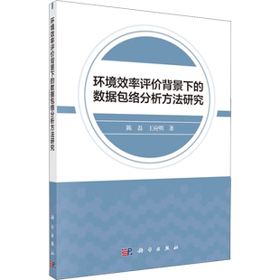 环境效率评价背景下的数据包络分析方法研究 陈磊,王应明 著 大学教材专业科技 新华书店正版图书籍 科学出版社