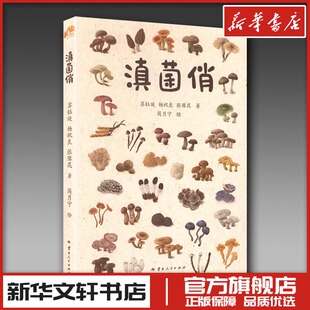 图书籍 社 张豫昆 绘 文学其它专业科技 简月宁 杨祝良 著 云南人民出版 滇菌俏 新华书店正版 苏钰琁