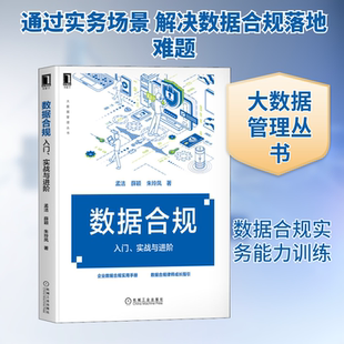 图书籍 社 孟洁 著 企业经营与管理专业科技 朱玲凤 实战与进阶 薛颖 机械工业出版 数据合规 新华书店正版 入门