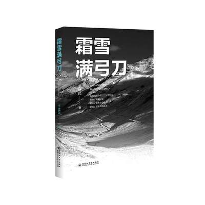 霜雪满弓刀 辛建民 著 现代/当代文学文学 新华书店正版图书籍 百花洲文艺出版社