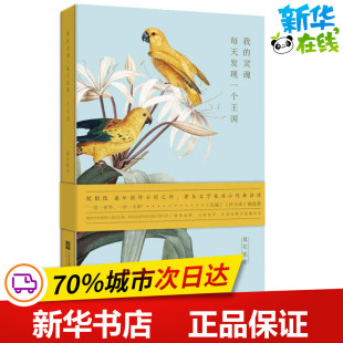 灵魂每天发现一个王国 图书籍 新华书店正版 著 我 冰心 纪伯伦 黎巴嫩 其它小说文学 夏花账 Kahlil 译 Gibran