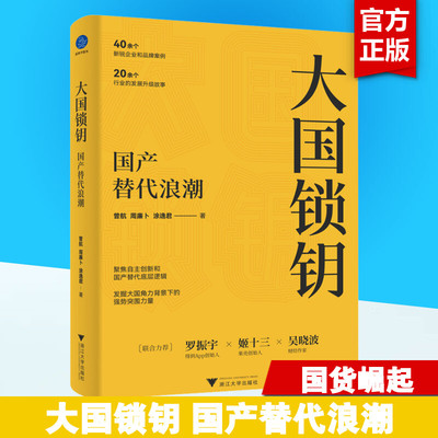 大国锁钥国产替代浪潮