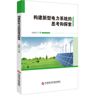 构建新型电力系统的思考和探索 方雨辰 著 能源与动力工程专业科技 新华书店正版图书籍 科学技术文献出版社