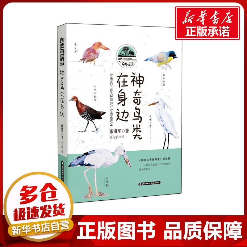 新华书店正版 少儿科普