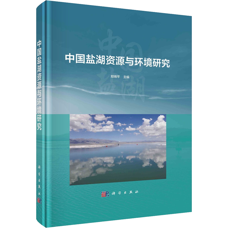 中国盐湖资源与环境研究 郑绵平 编 地理学/自然地理学专业科技 新华书店正版图书籍 科学出版社