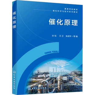 催化原理 孙松 等 编 化学工业大中专 新华书店正版图书籍 化学工业出版社