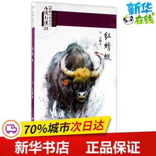 红蜻蜓 少儿动漫书少儿 著;沈石溪 主编 图书籍 社 广东新世纪出版 图画书 新华书店正版 冰波 绘本 著作