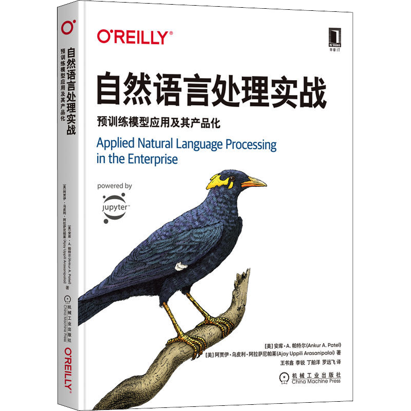 自然语言处理实战 预训练模型应用及其产品化 (美)安库·A.帕特尔,(美)阿贾伊·乌皮利·阿拉萨尼帕莱 著 王书鑫 等 译