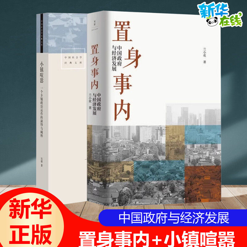 【套装2册】置身事内+小镇喧嚣 中国政府与经济发展 管理书籍金融投资当代中国乡镇农村政治的观察论 置身室内兰小欢 正版书籍 - 实物图