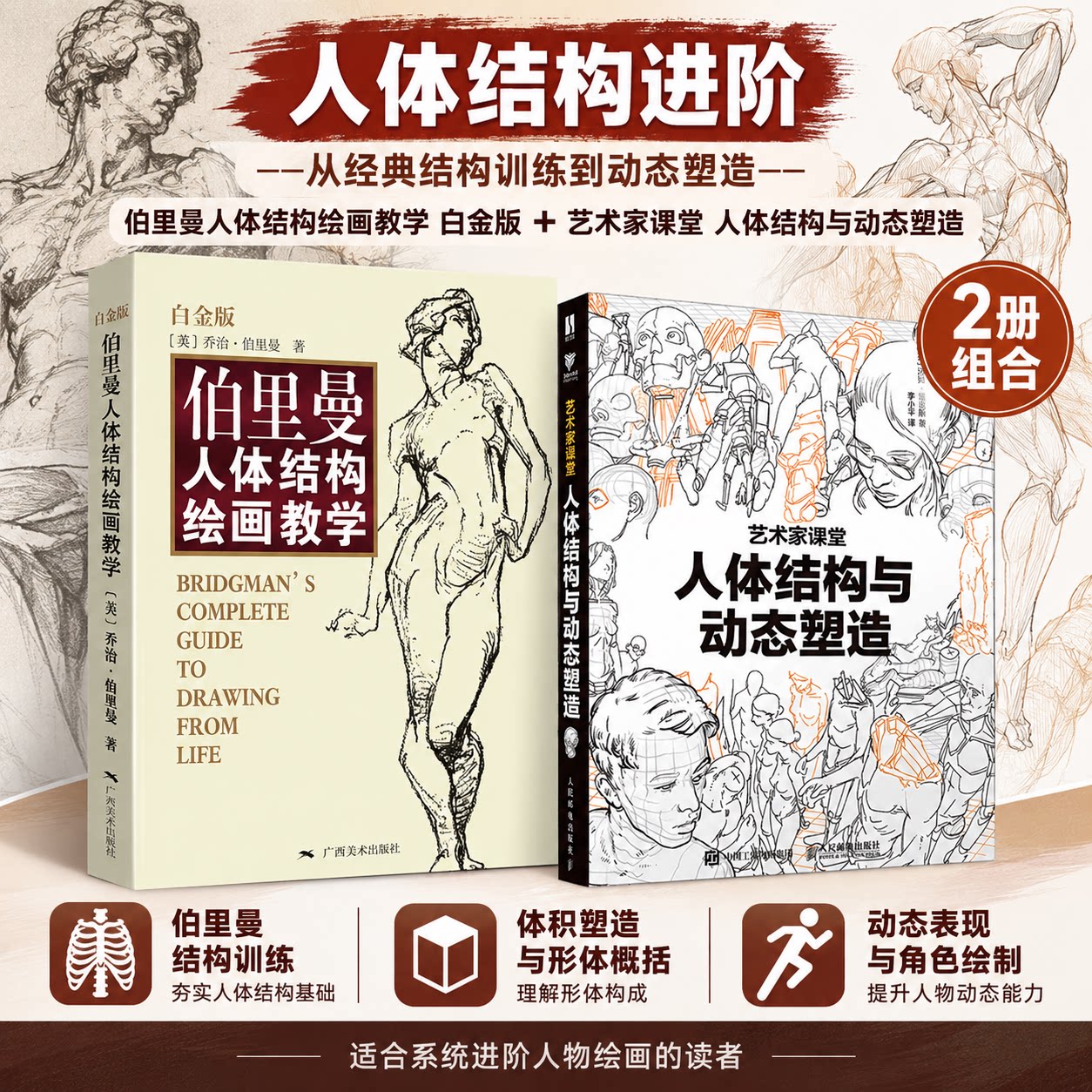 伯里曼人体结构绘画教学 白金版+艺术家课堂 人体结构与动态塑造 (美)乔治·伯里曼 著 晓鸥,辛昕,小野 译等 绘画（新）艺术