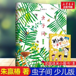 世界美 虫子间童书爱心树 书得主朱赢椿有趣故事艺术审美自然想象创意手绘互动涂色爱心树儿童一二三年级课外阅读 少儿版 虫子间