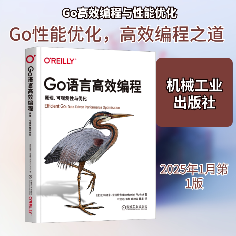 Go语言高效编程 原理、可观测性与优化 (波)巴特洛米·普洛特卡 著 叶志远 等 译 程序设计(新)专业科技 新华书店正版图书籍