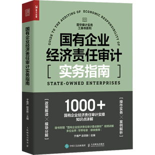 人邮普华审计工具书10册工业企业+国有企业经济+行政单位经济+金 融机构+数字化+舞弊审计+合规审计+风险导向审计工程项目审计实务