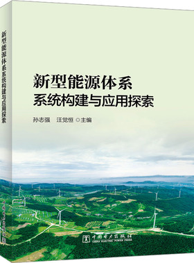新型能源体系系统构建与应用探索 孙志强,汪觉恒 编 各部门经济专业科技 新华书店正版图书籍 中国电力出版社