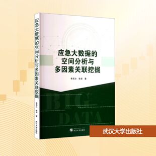 张岩 著 武汉大学出版 空间分析与多因素关联挖掘 社 图书籍 李英冰 新华书店正版 应急大数据 大学教材大中专