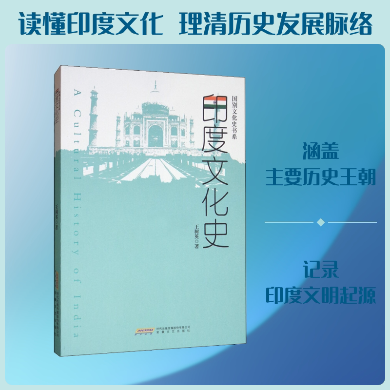 印度文化史 王树英 著 非洲史社科 新华书店正版图书籍 安徽文艺出版社