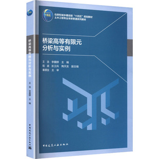 桥梁高等有限元分析与实例（赠教师课件） 王浩,李爱群 主编;程斌 副主编 编 交通/运输专业科技 新华书店正版图书籍