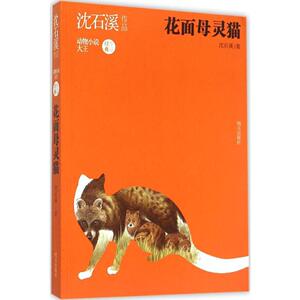 花面母灵猫 沈石溪 著 著作 儿童文学少儿 新华书店正版图书籍 明天出版社