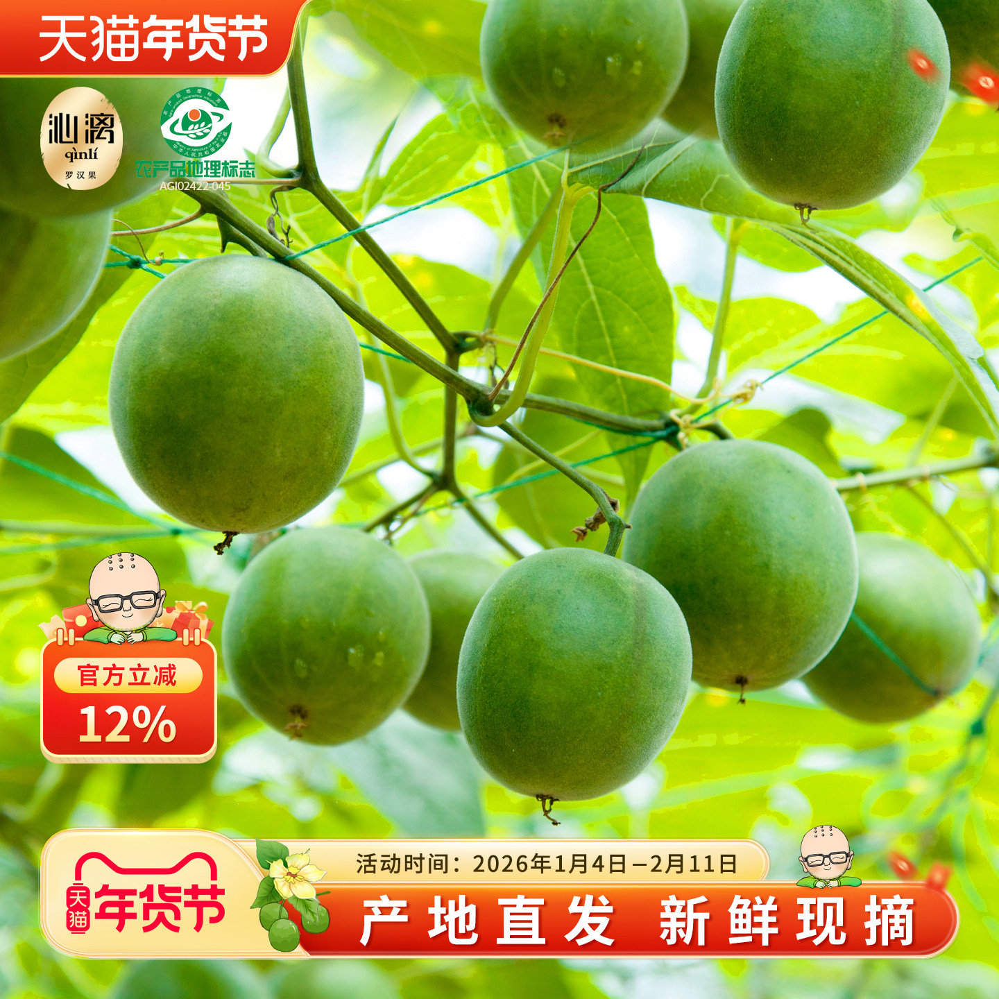 沁漓新鲜罗汉果生果广西桂林特产永福青罗汉果鲜果黄皮罗汉茶散装,零食/坚果/特产,罗汉果,淘宝优惠券,粉丝福利购,淘宝优惠卷