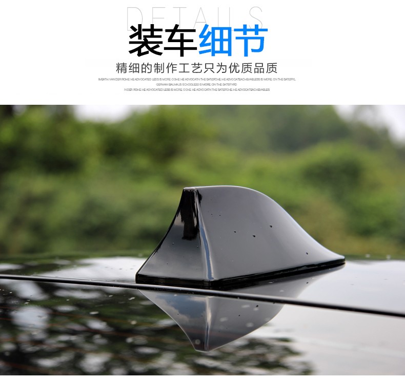 专用雷诺斯特冒险家收音机天线