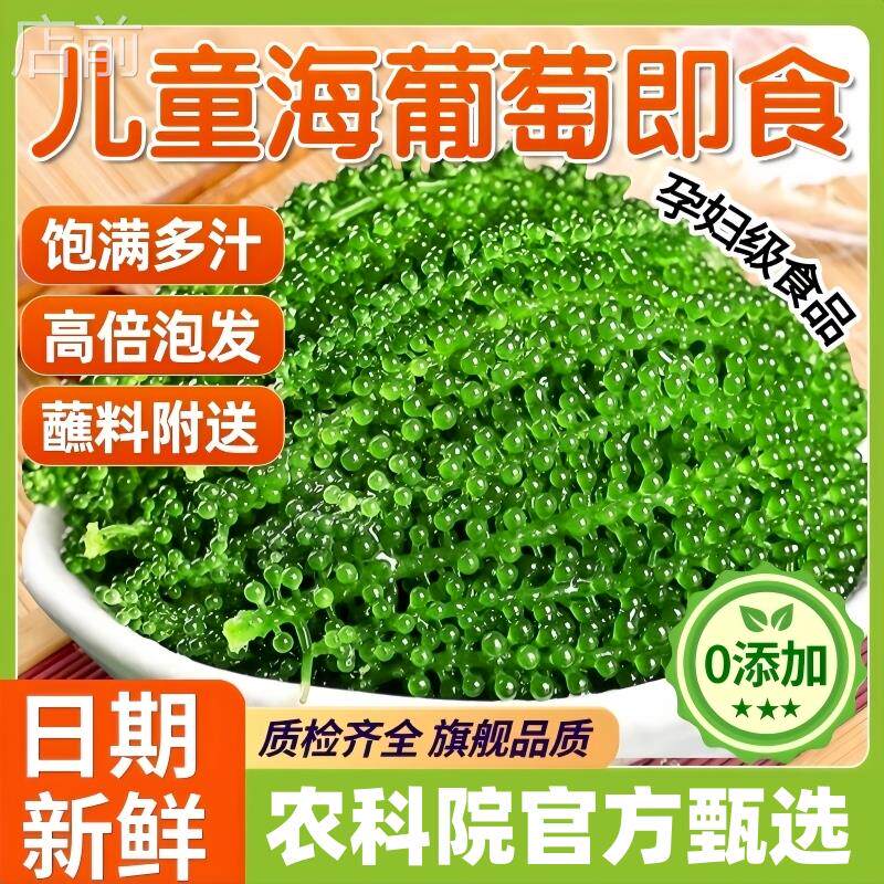 农科院甄选儿童海葡萄即食新鲜孕妇吃零食营养健康网红官方旗舰店