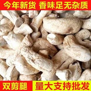 香菇脚干 干货500g云南特产香菇菌脚大号双剪商用干香菇腿丝香菇