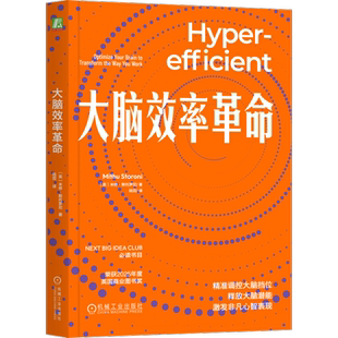 大脑效率革命 米修斯托罗尼 陆霞著 在快节奏的现代工作环境中优化大脑性能 提高工作效率减轻大脑疲劳 机械工业出版社
